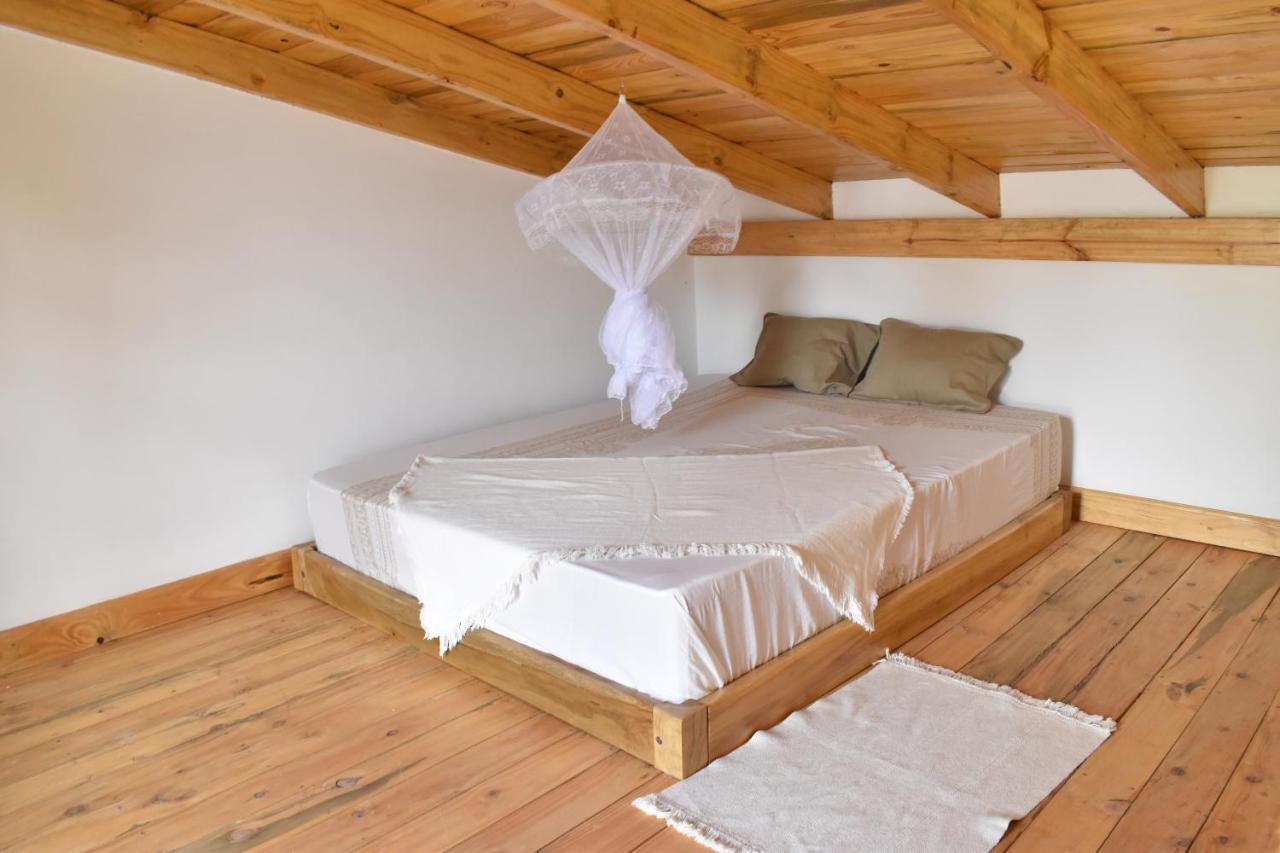Tiny House With Amazing View Apartment อารูชา ภายนอก รูปภาพ